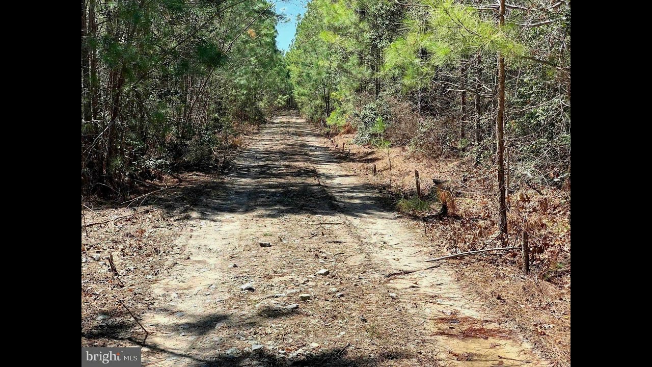 Longfield King George, VA 22485 - Land - Real Estate - For Sale