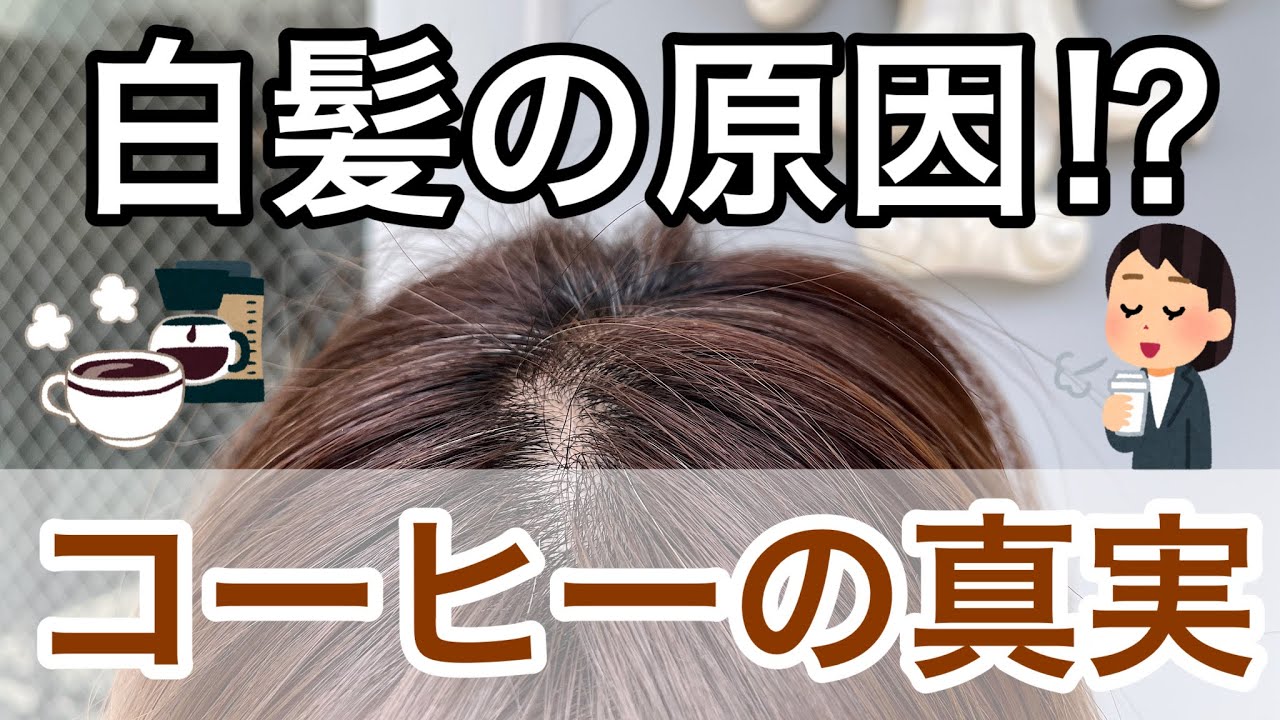 白髪の原因 コーヒーの真実 Youtube 白髪の原因 コーヒーの真実 Youtube