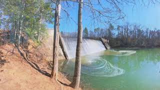 Clemson Experimental Forest in 360°