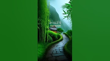 واذكر ربك إذا نسيت وقل عسى أن يهديني ربي/الشيخ فارس عباد يبدع بتلاوة هادئة جميله جدا