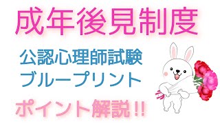 公認心理師試験対策　ブループリント　【成年後見制度✨】法定後見・任意後見　公認心理師・社会福祉士試験対策、理解しておきたいポイントを解説‼️ 誤字→法廷後見となってる箇所は法定後見です