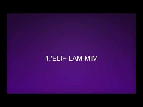 ELIF-LAM-MIM