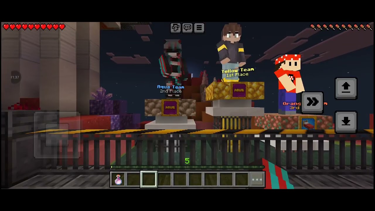 playing CubeCraft and The Hive