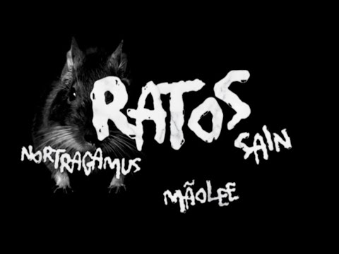 NORTRAGAMUS - RATOS feat. @StephanPeixoto(Prod. @Maolee)