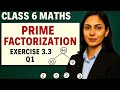 Class 6 Maths | Chapter 3: Playing with Numbers | Exercise 3.3 Q1 | Prime Factorization