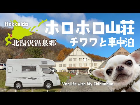 【愛犬とホロホロ山荘で車中泊🚐】犬たちが夢見るわんこビュッフェ／北湯沢温泉郷／北海道の秋風景