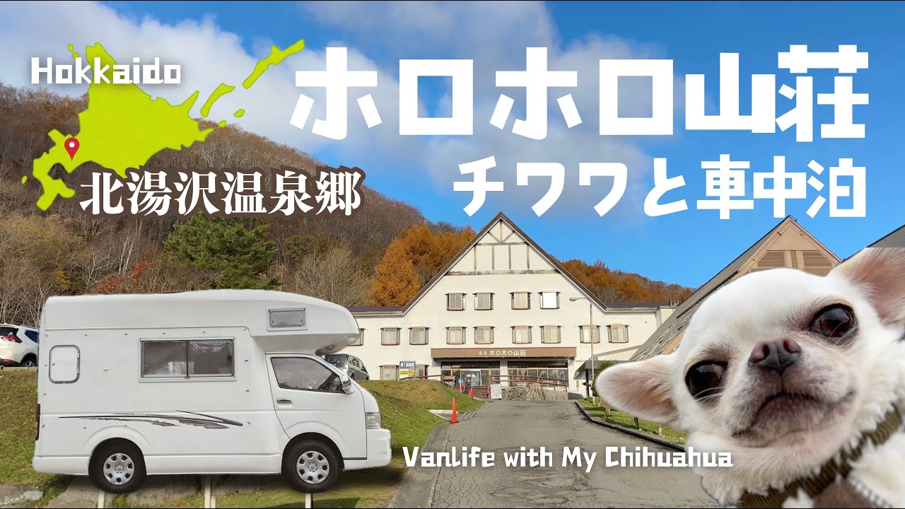 【愛犬とホロホロ山荘で車中泊🚐】犬たちが夢見るわんこビュッフェ／北湯沢温泉郷／北海道の秋風景