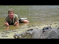 Middle of video