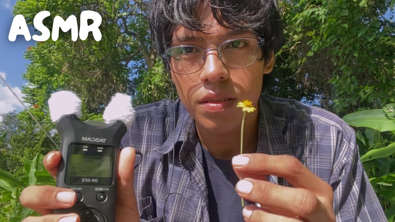 ASMR al aire libre 🍃 mouth sounds, hojas crujientes, tapping con madera y mas🌻