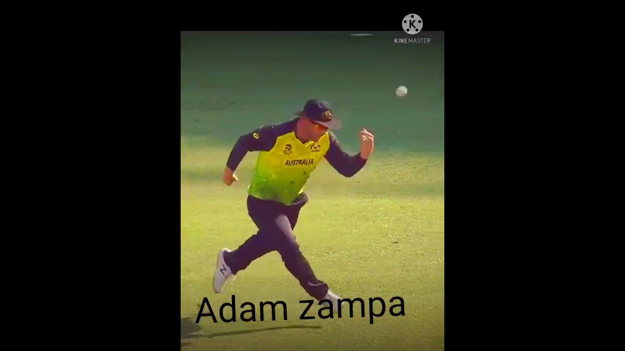 Adam zampa best ball