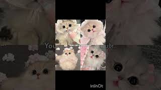 Yaaa Blackpink Spin.it3D8Qko4Lb