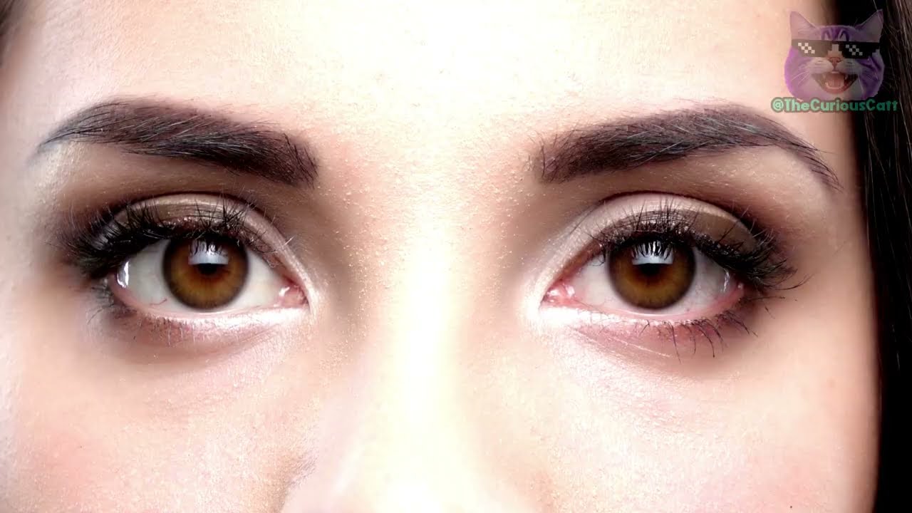 YouTube video image 1