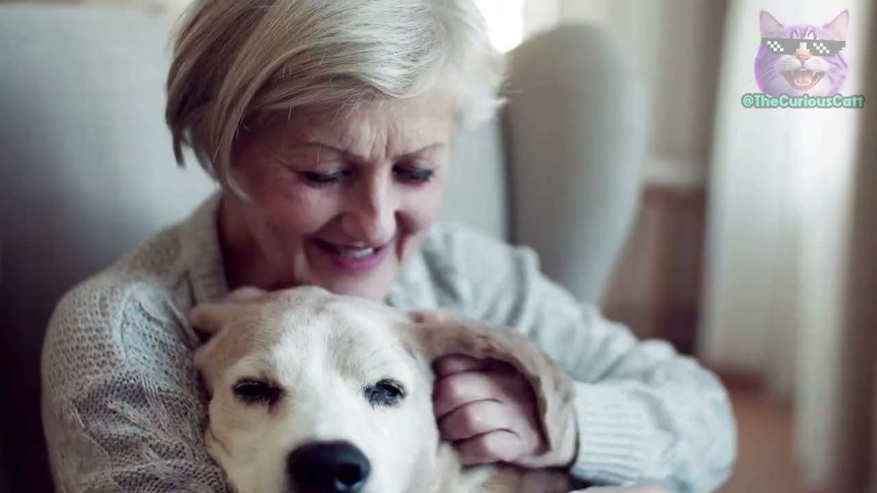 YouTube video image 3