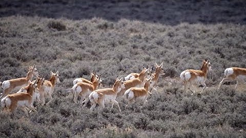 What is Connectivity?