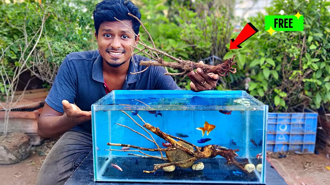 how-to-make-driftwood-for-aquarium-driftwood