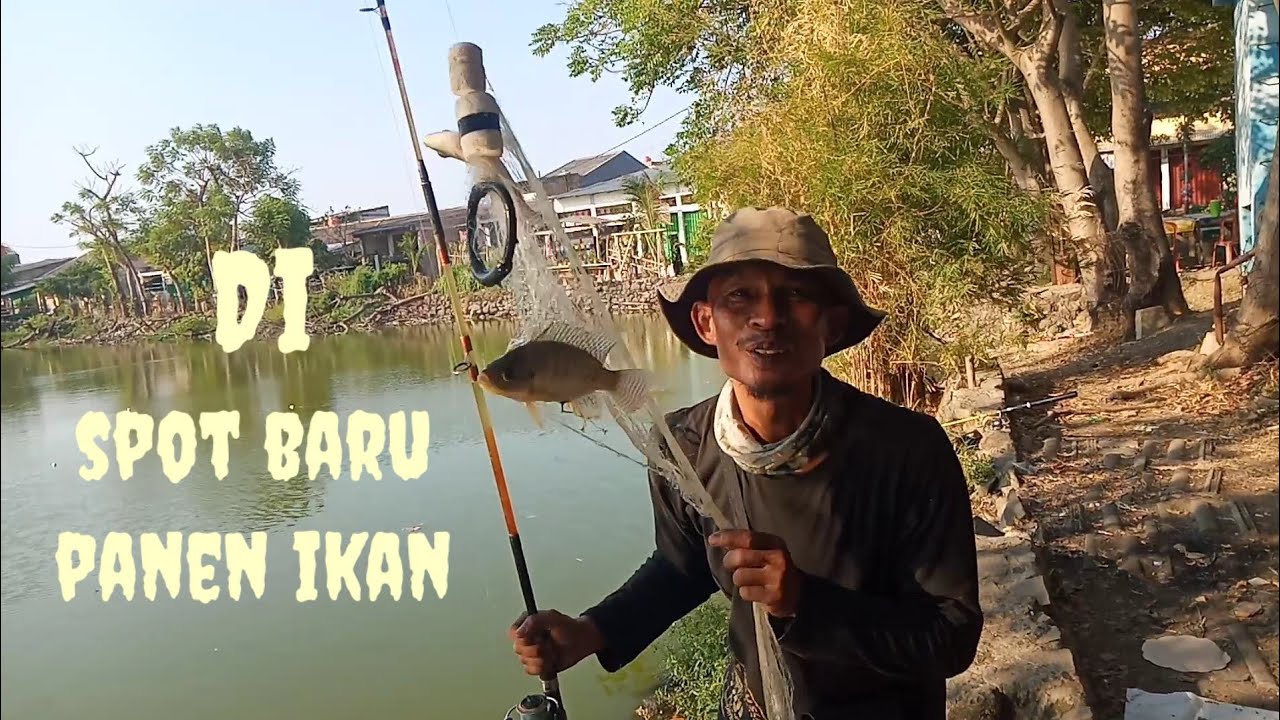 danou nya kecil!! ikan nya jutaan disini!! danou misteri