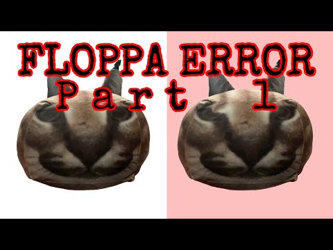 Floppa Error - Part 1