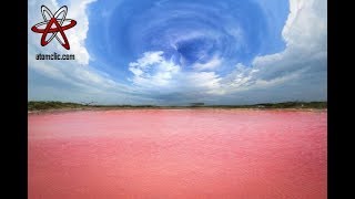 La Impresionante LAGUNA de Color ROSA en Las Coloradas, México