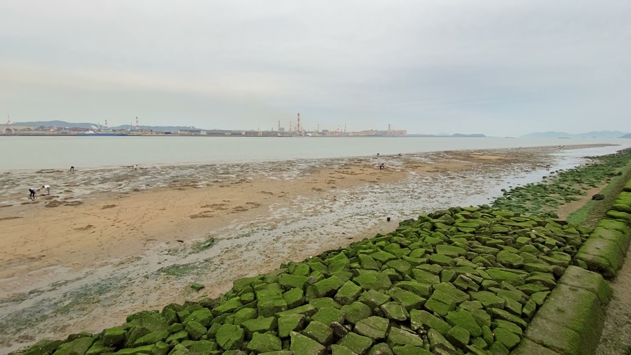 高梁川河口 マテ貝掘りと潮干狩り 倉敷市 中国電力玉島発電所東側 あははライフ
