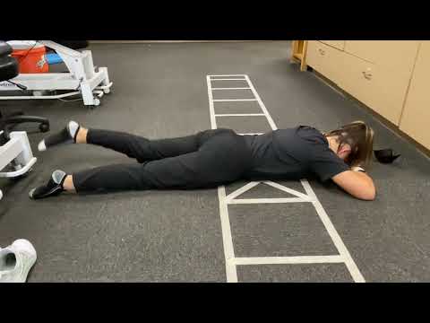 Prone Alternating Leg Lifts