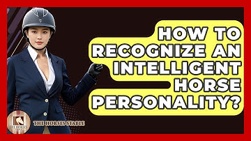 How To Recognize An Intelligent Horse Personality? - The Horses Stable
