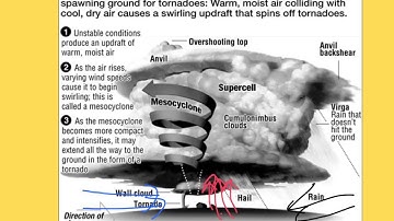 Global Winds and Severe Weather  (Earth Science)