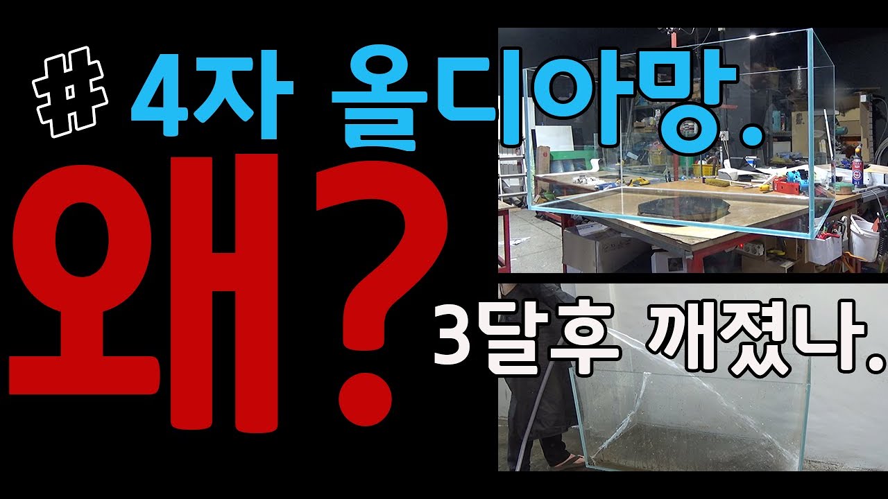 1200 올디아망..3달후 깨짐...깨진 이유, 깨질수 밖에 없었다.(뒤에 나옴)