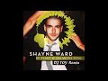 Shayne Ward - If That's Ok with you(DJ TOY Remix)
