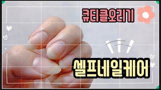 셀프네일케어 ♥️ 초간단 큐티클제거 방법 / How to remove cuticle / self nail care