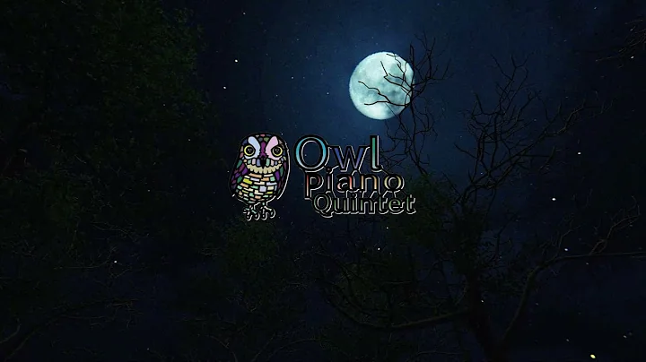 Owl Piano  QuintetWorks by Stefan Schaefer