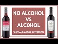 ALCOHOL VS NO ALCOHOL IN WINE - What are the taste and aroma differences?
