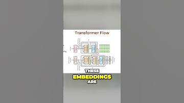 How does Transformer translate? #deeplearning  #machinelearning