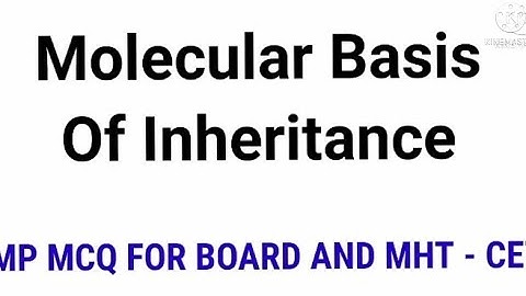 Molecular Basis Of Inheritance l MHT - CET l NEET l IMP MCQ l