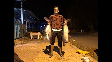 Câu cá tra khủng Vườn Quốc Gia Tràm Chim, (Fishing Giant Catfish in Tram Chim National Park) Part 1