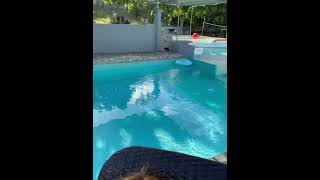 6 Feet Swimming  Pool 