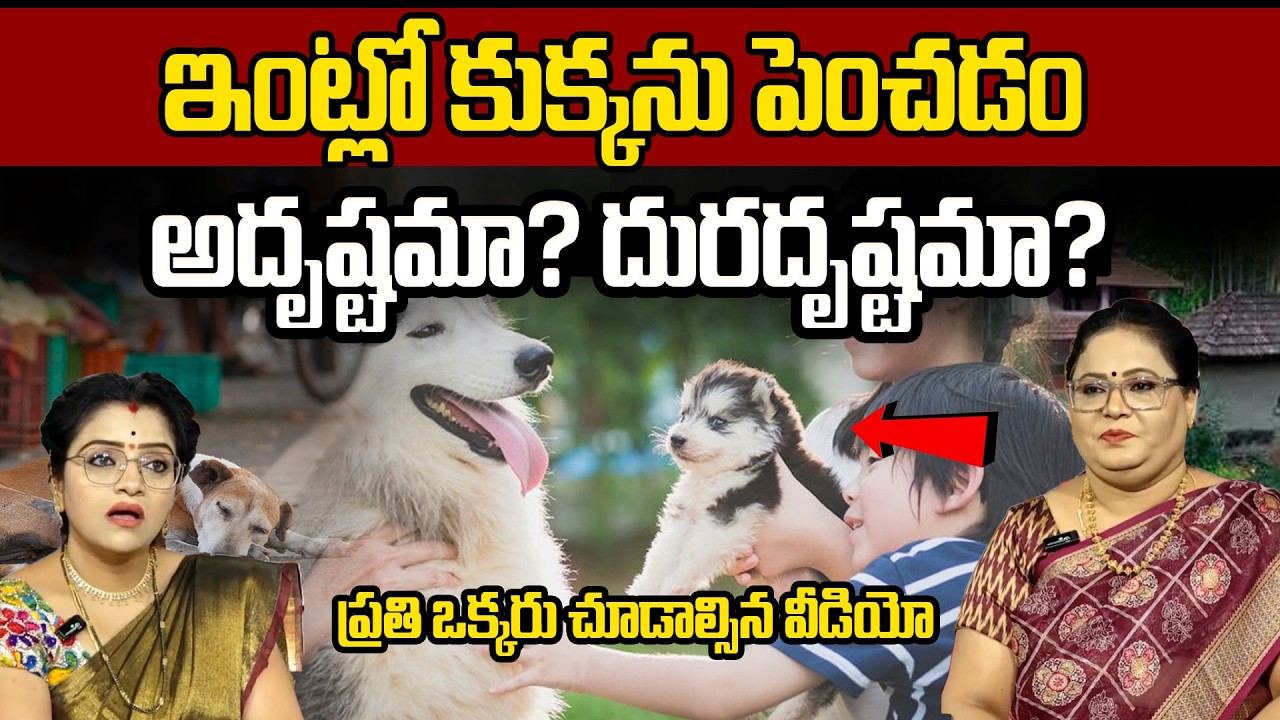 Astrologer Tanushka : ఇంట్లో కుక్కను పెంచడం అదృష్టమా? దురదృష్టమా? | SumanTV Padmini