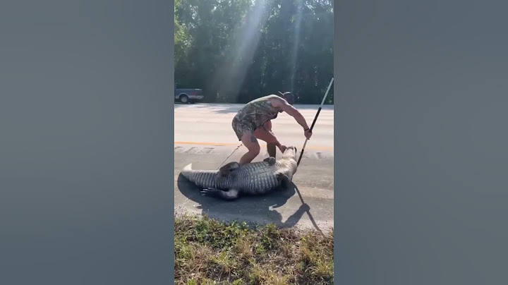 Florida man wrangles huge alligator along Interstate 95, Jacksonville deputies say