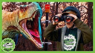 Where Will the Dinos Go? | TRex Ranch Dinosaur Videos for Kids