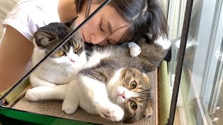 🐈日向ぼっこしてホカホカふわふわになった猫を吸った結果…w