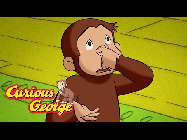 George makes a skunk friend 🐵 Curious George  🐵 Kids Cartoon 🐵 Kids Movies 🐵 Videos for Kids class=