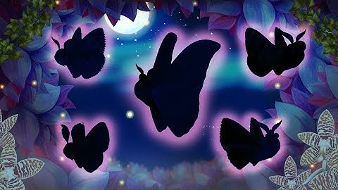 Phalaina Set Complete-The Octo Playthrough: Flutter Starlight Part 2