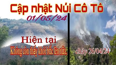 Cận cảnh mới nhất về vụ cháy rừng ở Núi Cô Tô (Phụng Hoàng Sơn) ở Tri Tôn, An Giang [Sơn Ròm Vlogs]