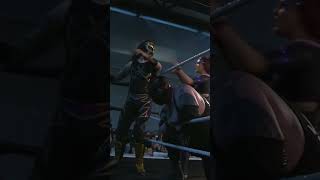 Koura mukiloi Stellaa