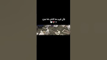🥀🚶‍♂️💔 #قرآن #اكسبلور #المصحف #اسلام_صبحي #لايك #تلاوات #حالات_واتس #قران_كريم