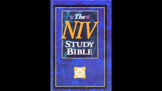The Book of 1st Chronicles (NIV Audio Bible Non Dramatized)