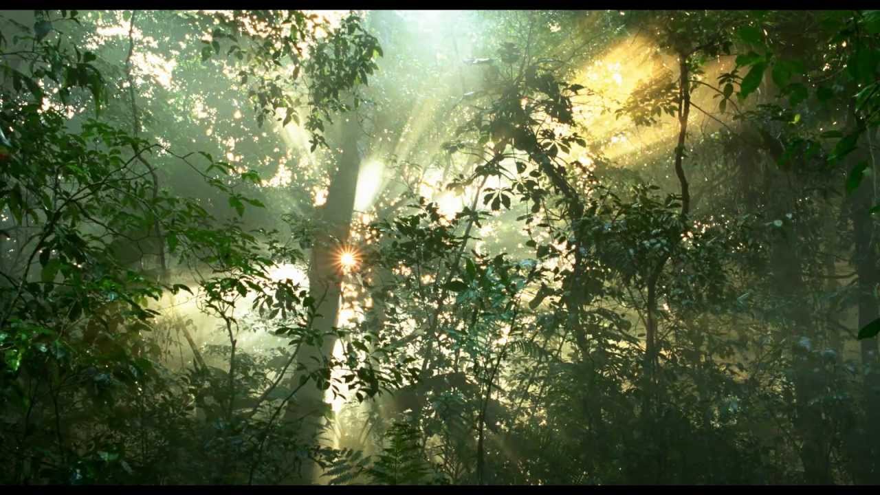 Русский Трейлер "Джунгли Зовут! В Поисках Марсупилами" - YouTube