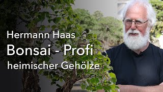 Nicht nur schwarz und weiß! Der BirkenProfi Hermann Haas  Bonsai aus heimischen Gehölzen!