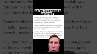 What Are They Doing?