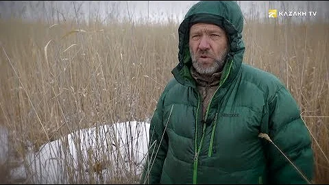 В джунглях Прибалхашья