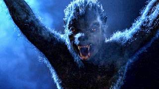 Werewolf Attacks Local Town But Hunts Only The Bad People